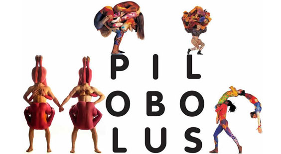 PILOBOLUS.jpg